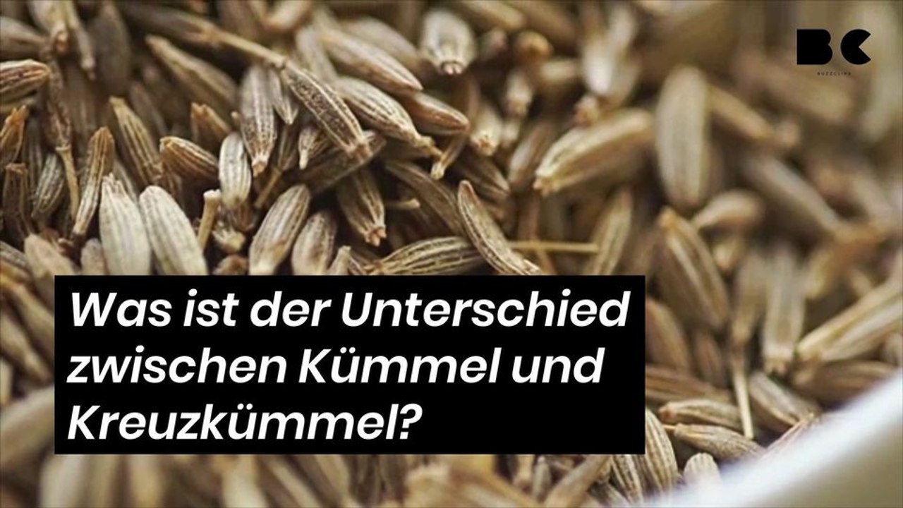 Was ist der Unterschied zwischen Kümmel und Kreuzkümmel?