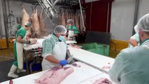 Despiece de cerdo ibérico en Señorío de Montanera, Salvaleón, Badajoz