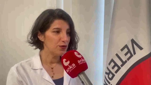 Bursa Veteriner Hekimleri Odası Başkanı Baykal: Türkiye'de Eğitimli Arama Kurtarma Köpeği Sayısı Az, Bilinçlenmemiz Gerekiyor