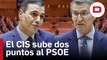 El CIS de Tezanos lo vuelve a hacer: el PSOE sube dos puntos y Podemos cae en plena polémica por la ley del 'solo sí es sí'