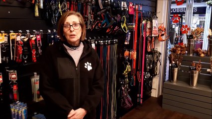 Take a look inside Paws on Track at The Orchards in Haywards Heath