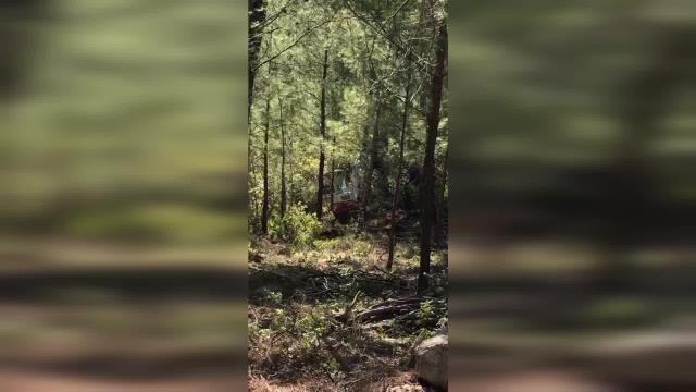 Süleyman Girgin: Marmaris'te Mesire Alanı Yapıyoruz Diye İş Makinaları Ormana Girdi