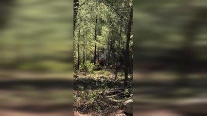 Süleyman Girgin: "Marmaris'te Mesire Alanı Yapıyoruz Diye İş Makinaları Ormana Girdi"