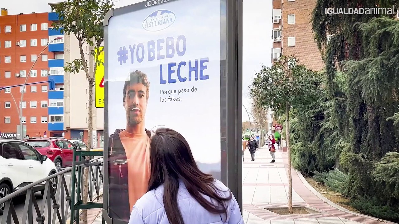 ¿Bebes_leche? Lo_que_no_te_cuenta_la_industria_láctea_española
