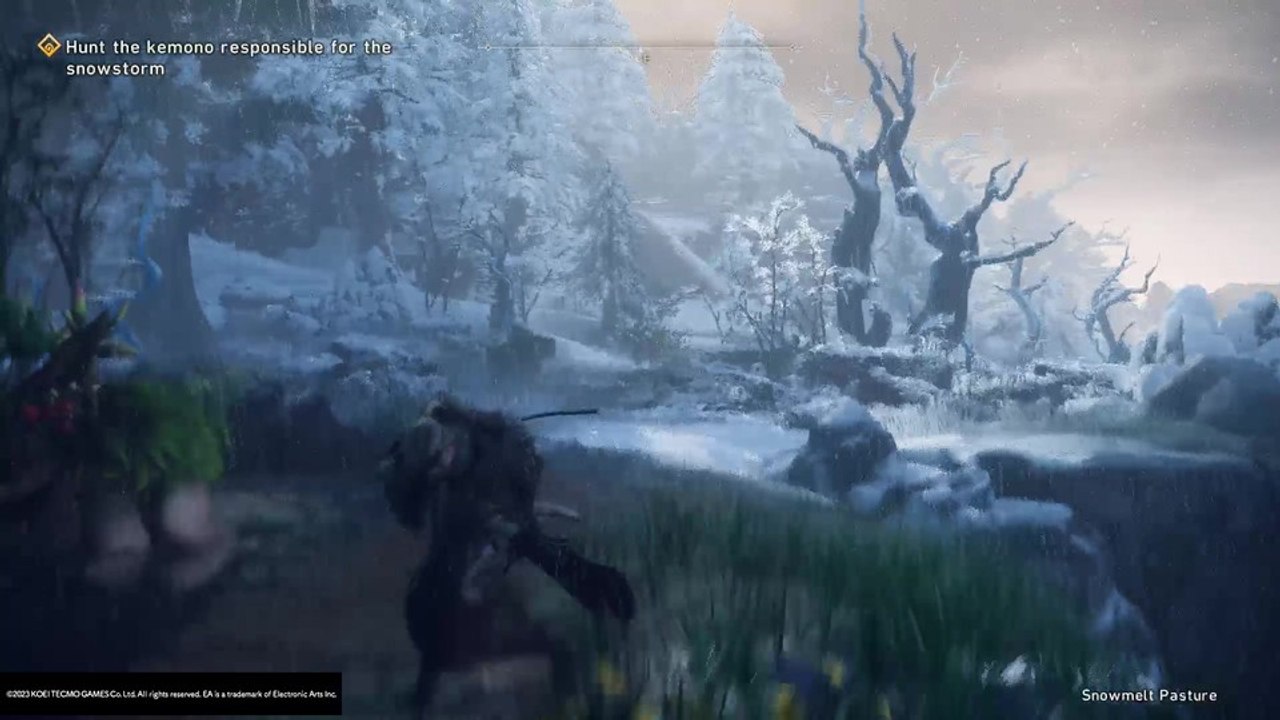 Wild Hearts: Vergleichsvideo mit und ohne Bewegungsunschärfe