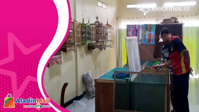 Pria Ini Raup Puluhan Juta dari Bisnis Burung Murai Batu, Berawal dari Iseng saat Pandemi