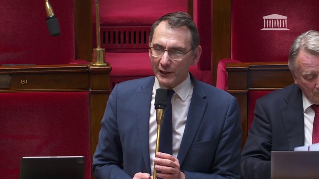 Laurent Jacobelli (RN) aux députés de la Nupes: Vous êtes des guignols dans de cet hémicycle
