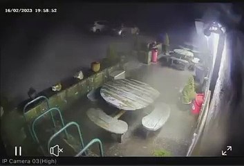 Thief returns stolen fossil to Stump Cross Caverns