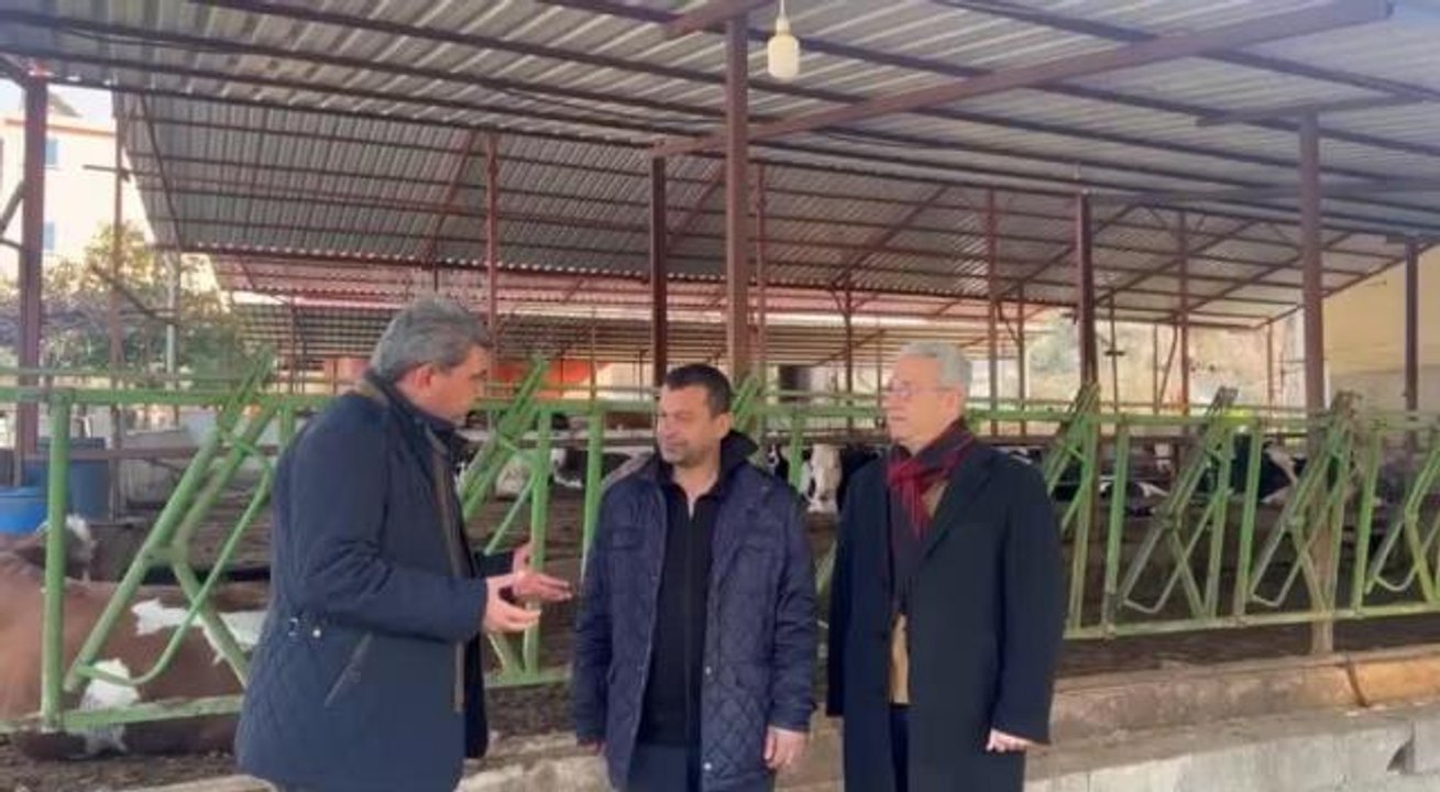 Hataylı Besici: Kendi Çabamızla Dışarıdan Yem Tedarik Etmeye Çalıştık. Onu da Afad, Önünü Kesip İl Tarım Müdürlüğü'ne Teslim Etti
