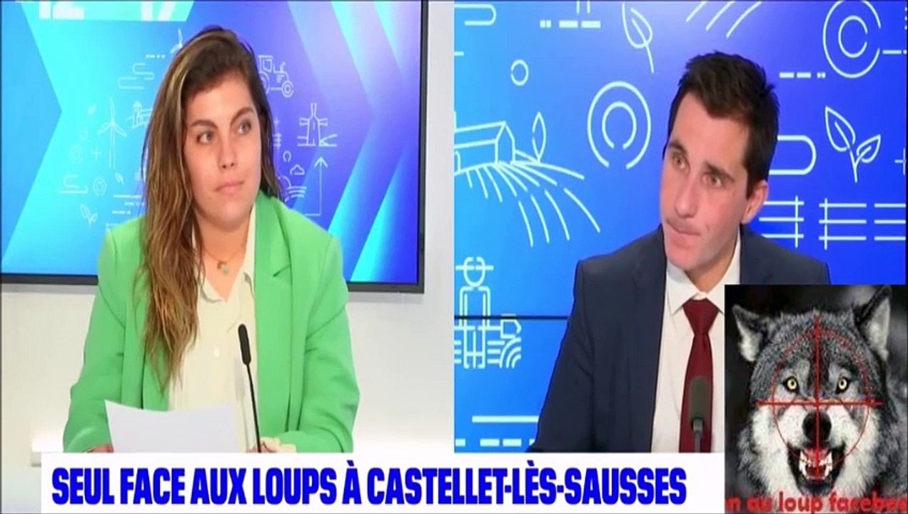 Seul face aux loups