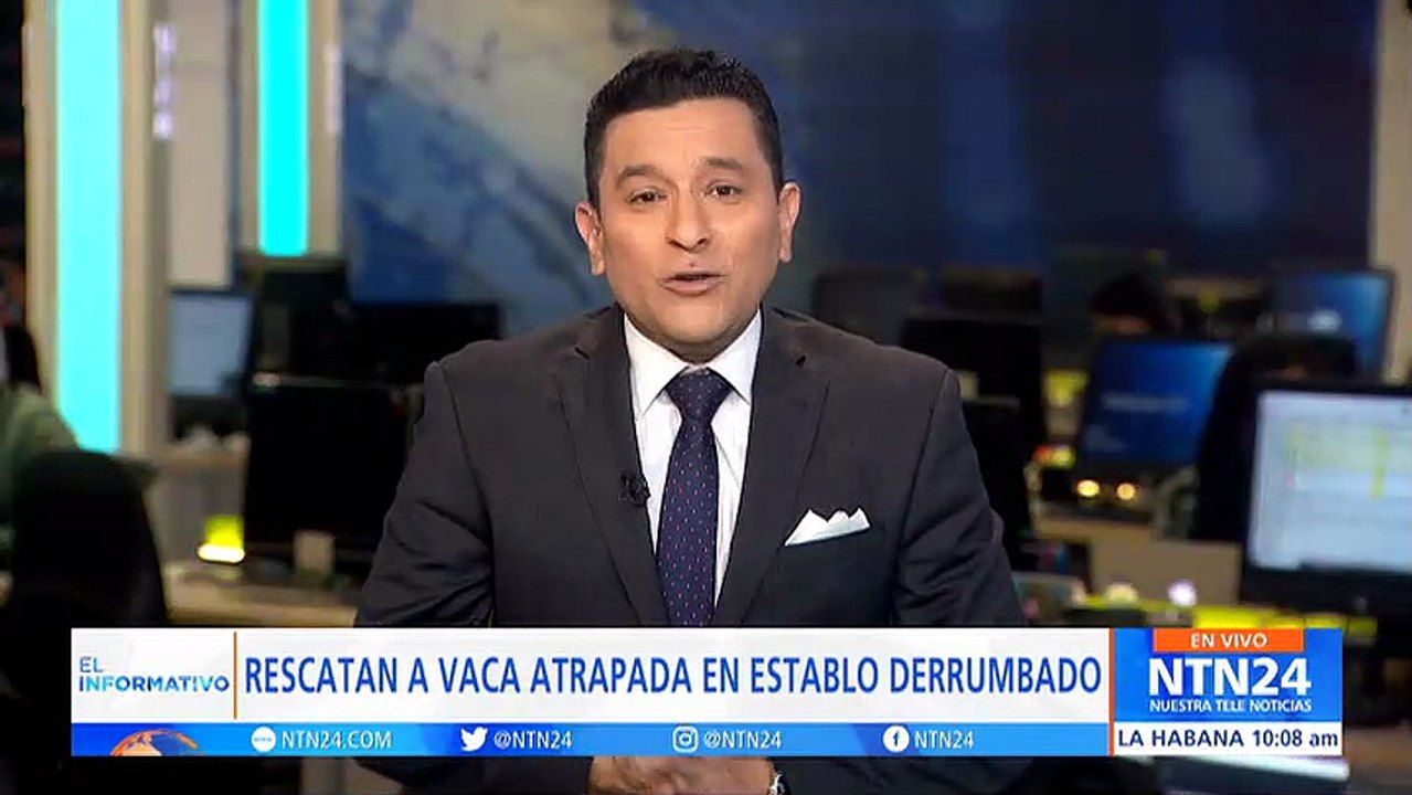 Así fue el rescate de una vaca atrapada entre los escombros tras el terremoto en Turquía