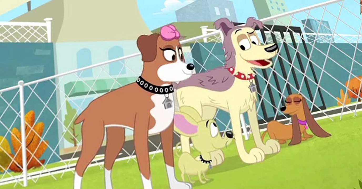 Pound Puppies 2010 Pound Puppies 2010 S03 E024 The Road to Empawerment