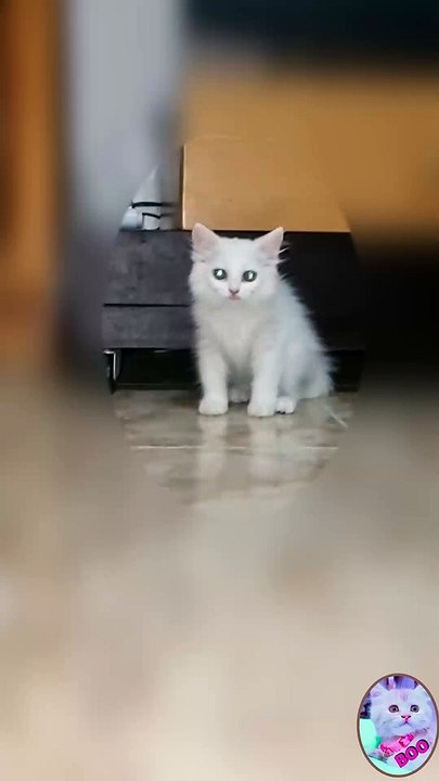 missing mom