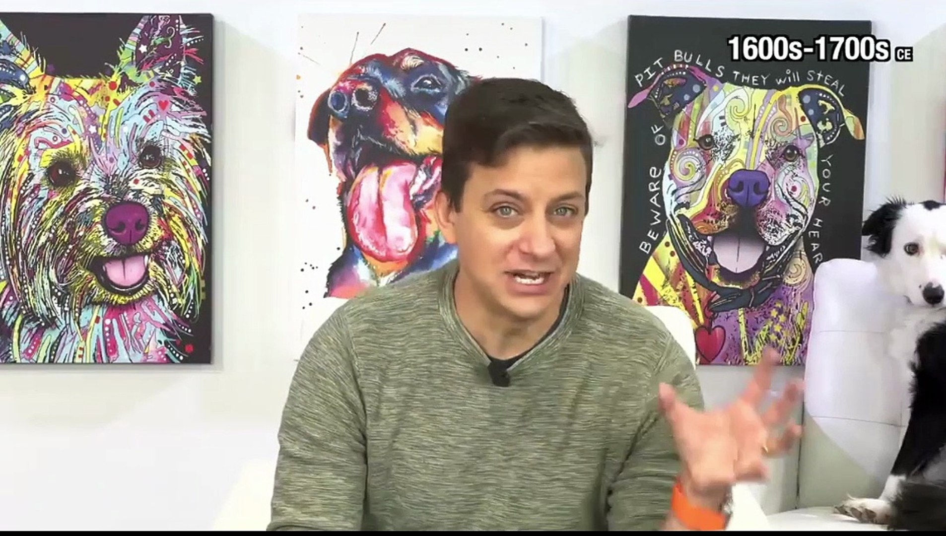 ⁣best dog trainer |  dog trainer