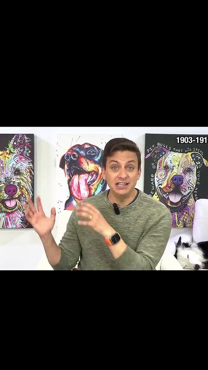 best dog training |  puppy training tips