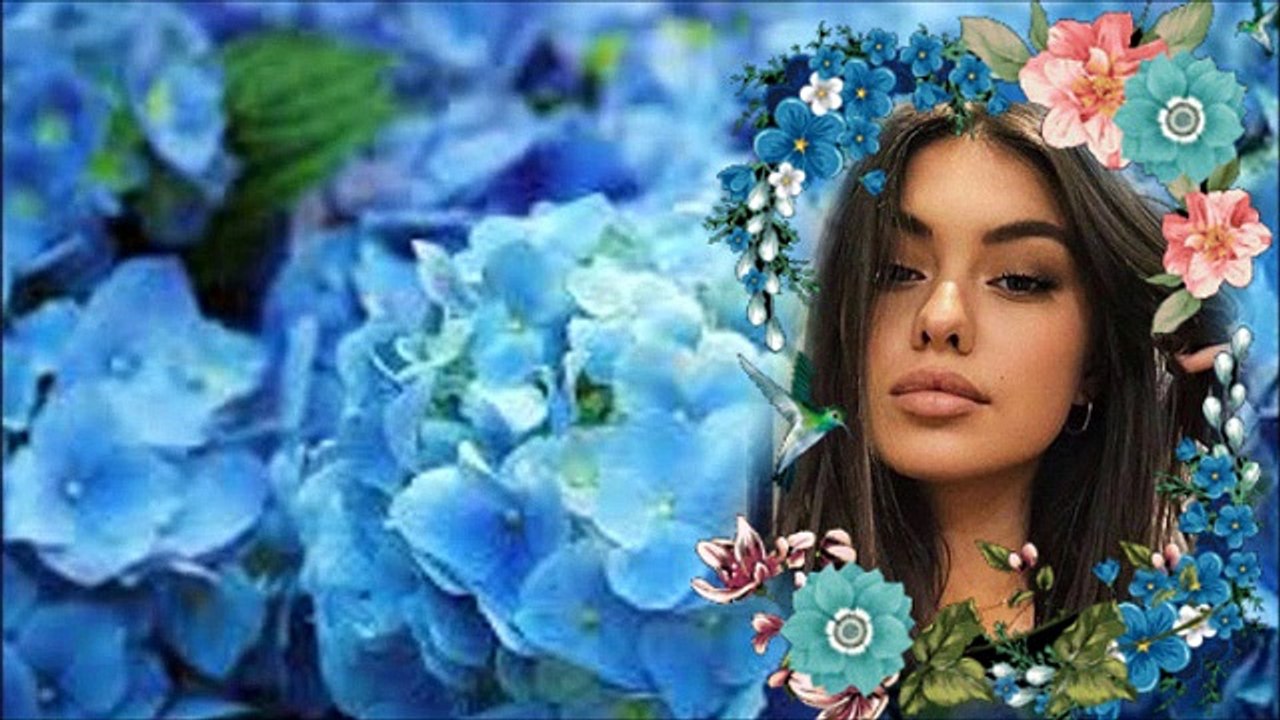 Greh bi bio da te ne volim wmv