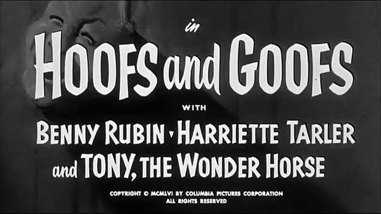 The Three Stooges - Se1 - Ep175 HD Watch