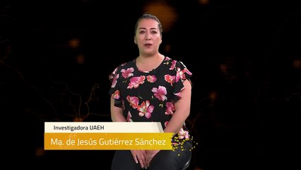 Sinapsis T2 Ep58 | Objetos de aprendizaje