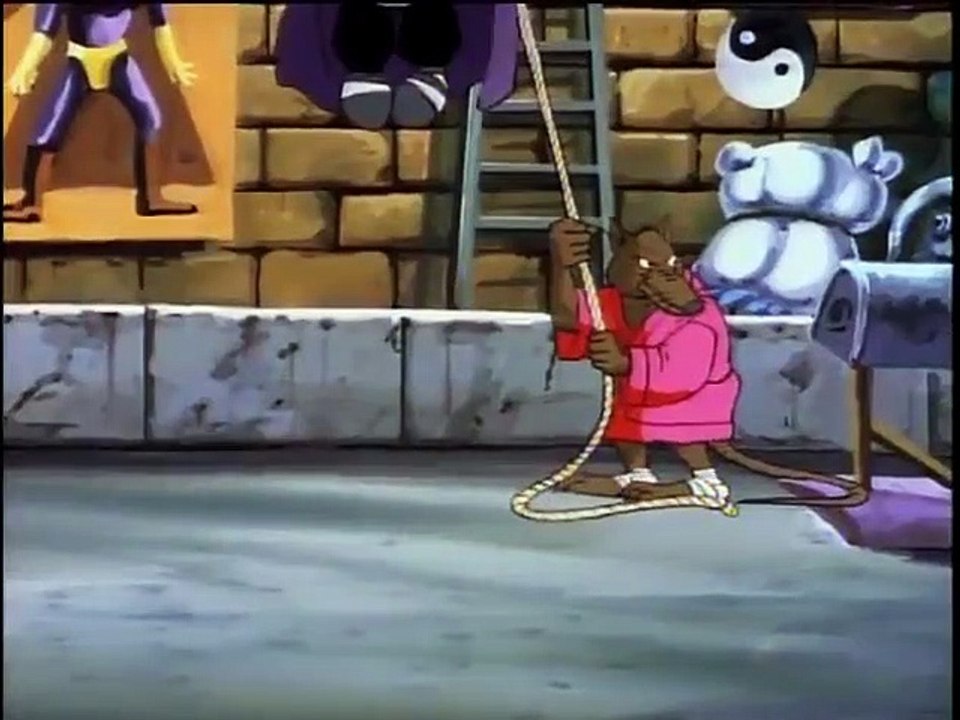 Teenage Mutant Ninja Turtles - Se4 - Ep48 - Leonardo Versus Tempestra HD Watch