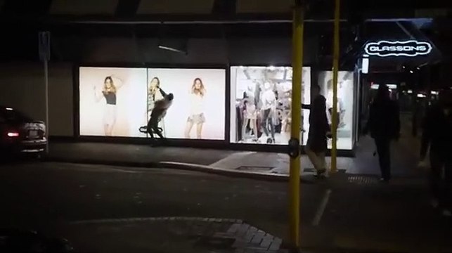 5 Zimmer Küche Sarg (2014)