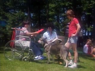 The Littlest Hobo - Se1 - Ep02 HD Watch