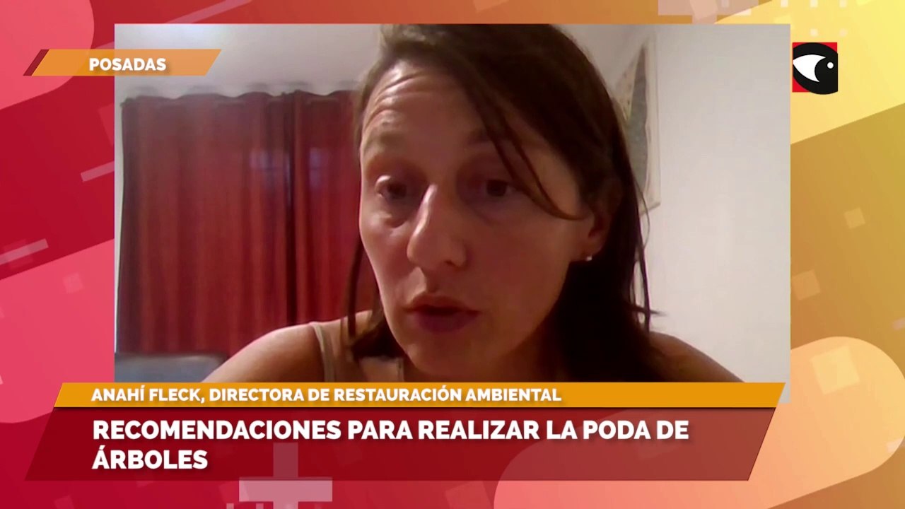 Recomendaciones para realizar la poda de árboles