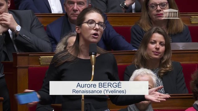 Aurore Bergé aux députés de la Nupes: Vous avez méprisé les Français tout au long de cet examen