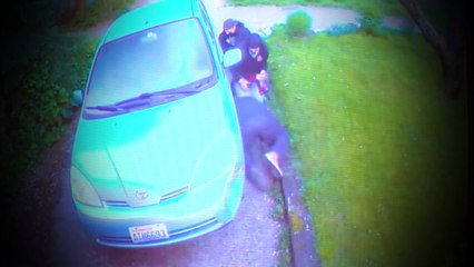 Nueva odernanza contra el robo de catalizadores