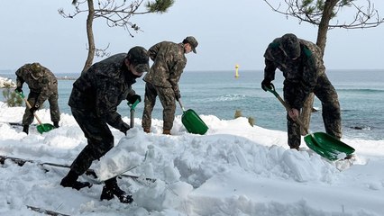 육군 23경비여단, 폭설 내린 동해·삼척 제설 지원 / YTN