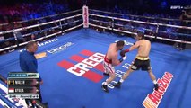 Nico Ali Walsh vs Eduardo Ayala (03-02-2023) Full Fight