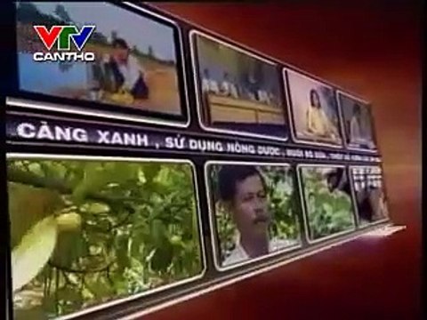 2163 - Quản lý bệnh chổi rồng trên nhãn