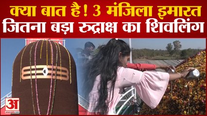 Mahashivratri 2023: Gujarat में 31 लाख रुद्राक्ष से बनाया गया शिवलिंग | 31.5 feet Tall Shivling