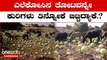 AAP Bhaskar Rao ರೈತರಿಗೆ ಸರಿಯಾದ ಮಾರುಕಟ್ಟೆ ಕೊಡಿ | OneIndia Kannada