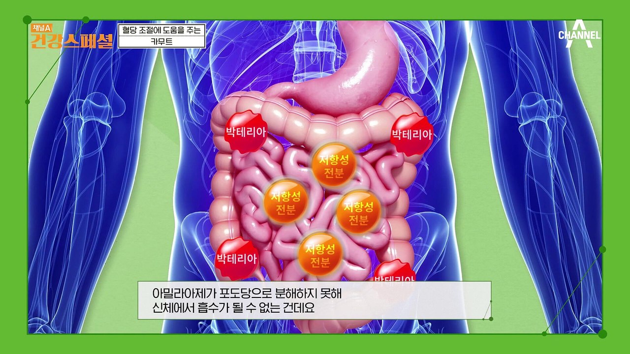 살 빠지는 착한 탄수화물! 혈당 조절에 도움주는 ★카무트★