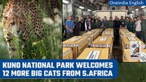 Madhya Pradesh: Kuno National Park welcomes 12 South African cheetahs  | Oneindia News
