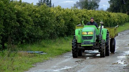 الجزائر.. تطوير القطاع الزراعي يواجه تحديات تقنية ومناخية