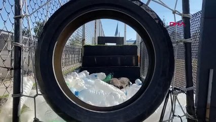 Meksika Savunma Bakanlığı, Proteo'nun anısına video paylaştı