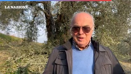 San Girolamo, tra le eccellenze dell'olio in Italia