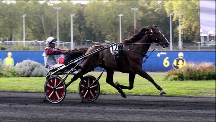 Pronostic PMU de Fréquence Turf pour le Quinté du dimanche 19 février 2023 (Réunion n°1 - Course n°4).