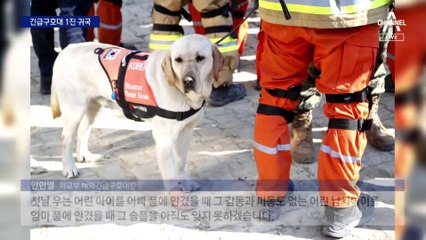 ‘튀르키예 강진’ 한국 구호대 1진, 8명 구조하고 귀국