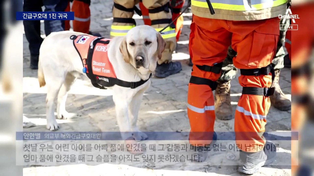 ‘튀르키예 강진’ 한국 구호대 1진, 8명 구조하고 귀국