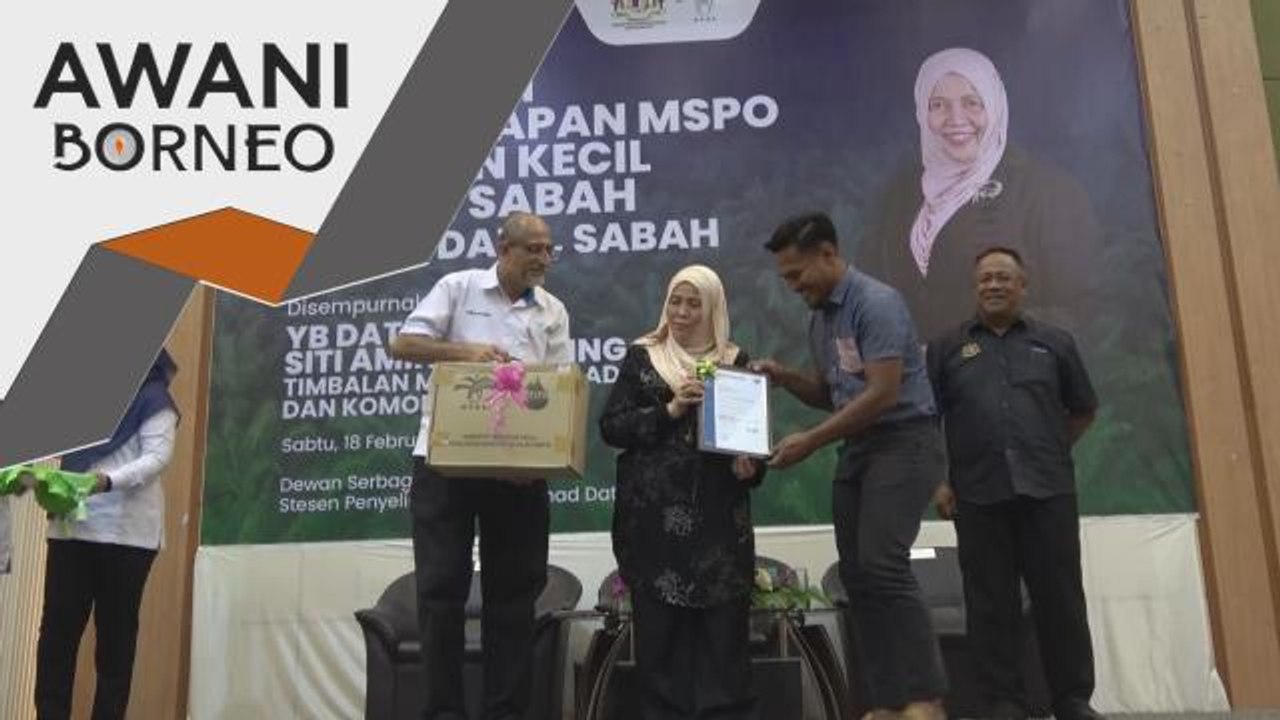 Sawit  | MPOB giat bantu pekebun kecil persendirian