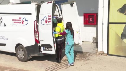 Enkazdan Kurtarılan Hayvanlar, Deprem Bölgesinden İzmir'e Getirildi