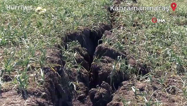 Kahramanmaraş'ta fay hattının geçtiği tarlalar ikiye bölündü