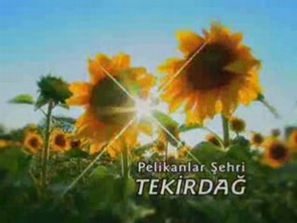 Tekirdağ Belgeseli