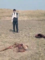 First buried, then taken out from the ground and got postmortem done, after that burnt the rest of the remains