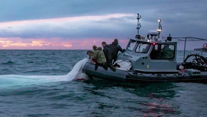 미군, 中 정찰풍선 잔해 회수 작업 완료 / YTN