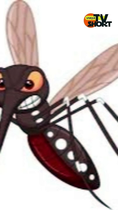 Amazing Facts about Ani thing in Hindi Urdu #facts