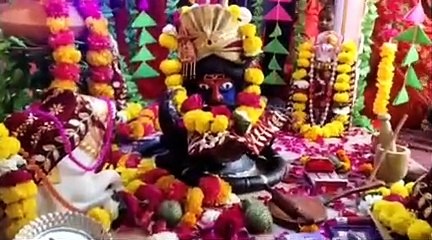 Download Video: शिव व पार्वती का हुआ विवाह, श्रद्धालुओं ने किया कन्यादान,देखे वीडियो