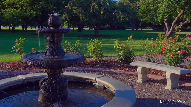 4K HDR Video - Colorful Garden Fountain Serenity - Daily Nature Relaxation